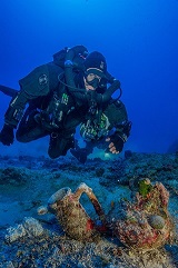 laskaridis antikythira